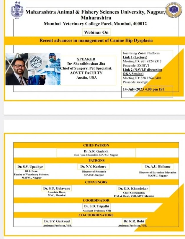 Webinar Flyer July 2023